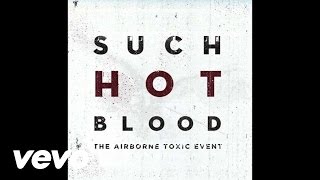 The Airborne Toxic Event - The Secret (Audio)