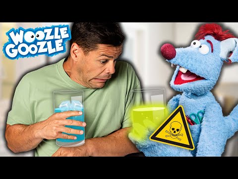 Ist Wasser gesund? l WOOZLE GOOZLE
