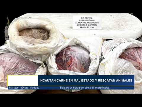 ¿Para dónde la llevaban? Capturaron a 2 hombres en Belmira con varios kilos de carne ilegal