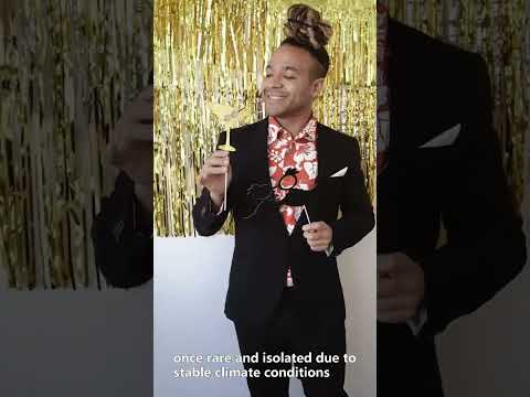 "Doomsday Drills: Surviving the Apocalypse"