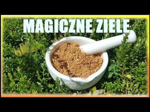 Narzędzie do szybkiego podniesienia potencji Tabletki na impotencję