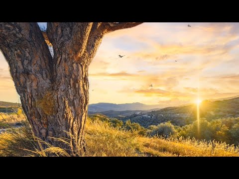 Guide Me Home  -  Freddie Mercury & Montserrat Caballé