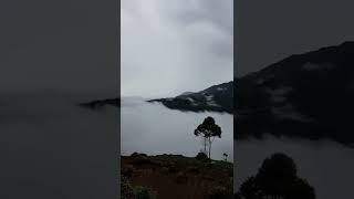 Download lagu story wa bijak story wa bahasa jawa story wa bahasa sunda story wa buat mantan#wisatawonosobo mp3