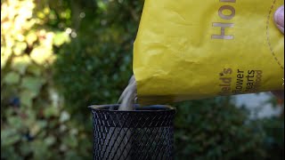 Urban Garden Sunflower Heart Feeder