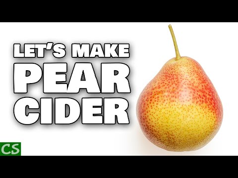 Pear Cider - How to Make an Easy Perry