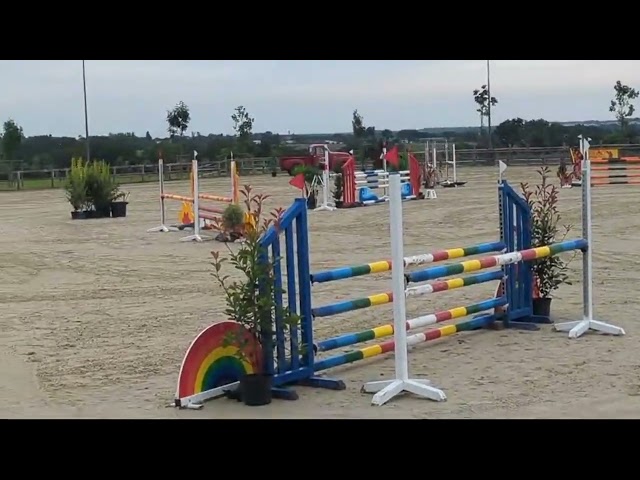 Jument de sport pour amateur