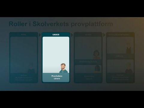 Platshållare för video