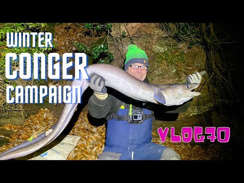 Vinterfiskeri efter havål i England