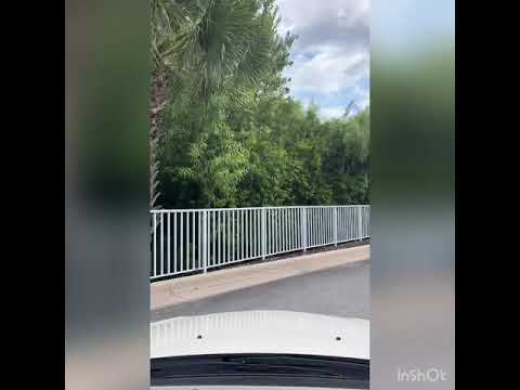 Palm Coast Plantation