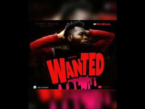 Pk Mr konk Wanted (official audio track)