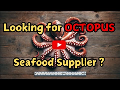 Mencari Pembekal Makanan Laut Octopus ?? | C H Seah Fishery