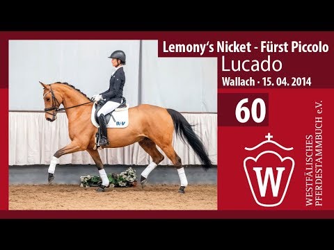 60 Lucado Wallch v. Lemony‘s Nicket - Fürst Piccolo