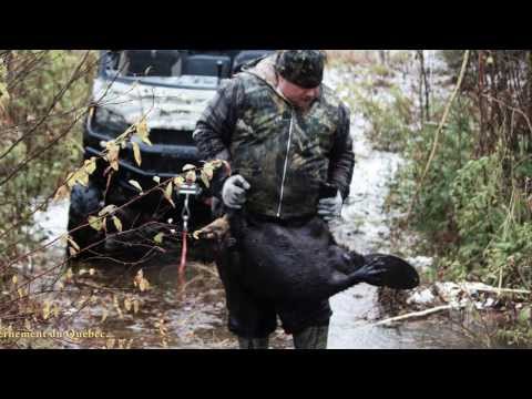 Martin le trappeur- Tisonagan épisode 2 - La récolte