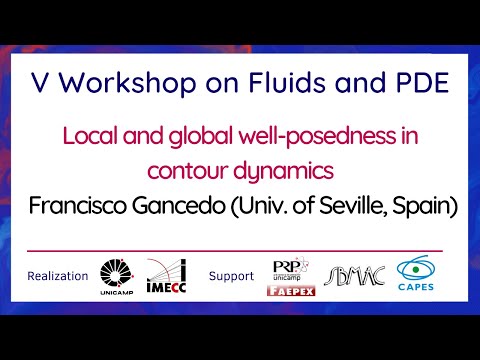 V Workshop on Fluids and PDE -  September 22th, 2021 - Francisco Gancedo