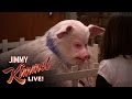 Jimmy the Pig 