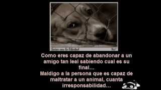 INSENSIBILIDAD - SKA-P