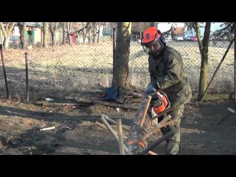 P.Leń mega bieszczadzki pilarz