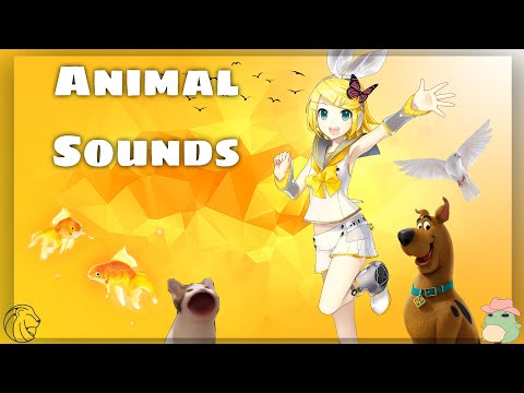 "Animal Sounds" Jingle - The Rin Aggrolites
