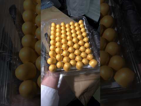 kijatkoum... merhba bikoum kamlin #chocolate