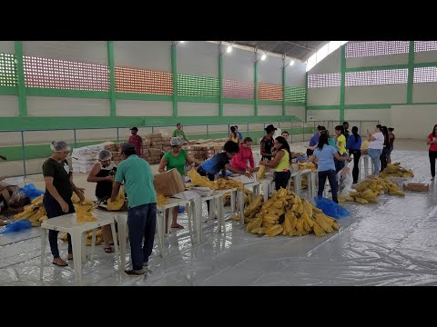 LAGO DA CANOA- ALAGOAS! MAIS UMA ENTREGA DE PEIXES NA PREFEITURA DA CIDADE.