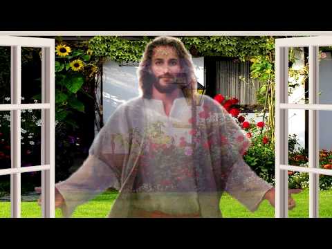 Feliz Natal & Próspero Ano Novo (2020)