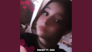 Perfect Music Video