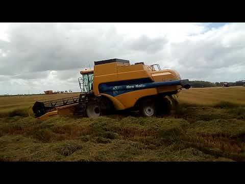 Granja tamanca 🌾 RS Santa Vitória do palmar 🚜