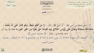 شرح رياض الصالحين ، الحديث 47 || د. ماهر ياسين الفحل image