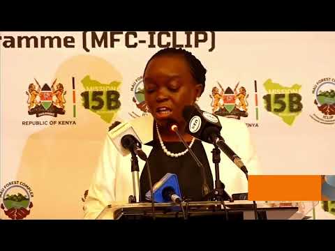 LINDA MAU, BORESHA MAISHA