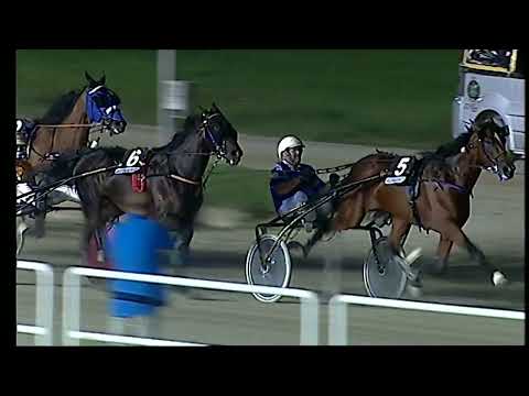 Napoli Trotto 20/08/2022 - 4ª corsa