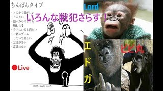 迷彩解除　ロケラン編   3　∹いろんな戦犯さらす：-　【CoD：MW】