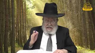 דף היומי בחצי שעה – סנהדרין דף ס”ו