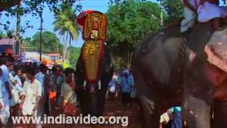 Elephant Pageantry at Anayadi Temple