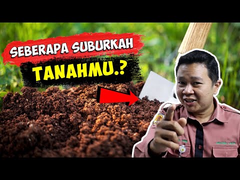 , title : '3 Cara Cek Kesuburan Tanah Pertanian  III pH Tanah - Kapasitas Tukar Kation'