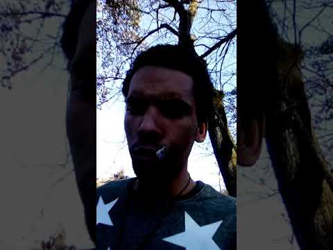 Présentation de Pauline nlp-prod gang