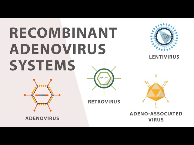 Pronúncia de vídeo de adenovirus em Inglês