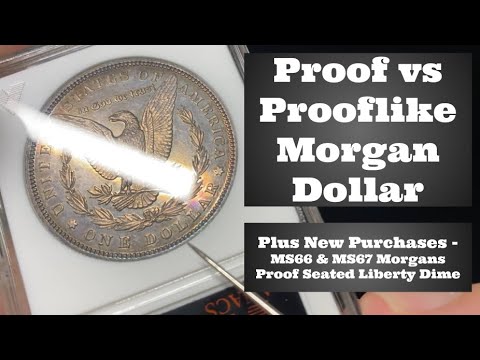 Proof & Prooflike Morgan Dollars - How to Tell the Difference - MS66 & MS67 Morgans, Proof 1879 Dime