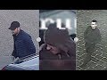Esbeek: Aanhangwagen en rolsteiger gestolen