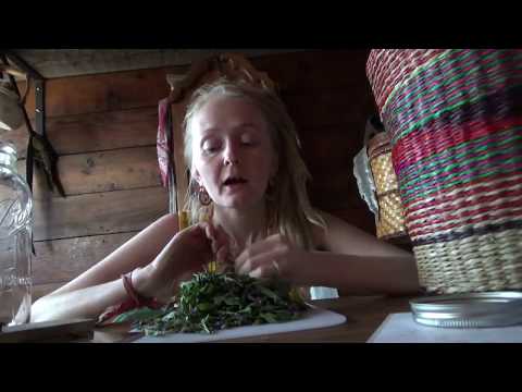 download lagu mp3 mp4 Vervain, download lagu Vervain gratis, unduh video klip Download Vervain Mp3 dan Mp4 Free All Gratis