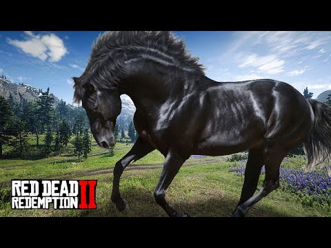 RESGATANDO O CORCEL NEGRO - Red Dead Redemption 2