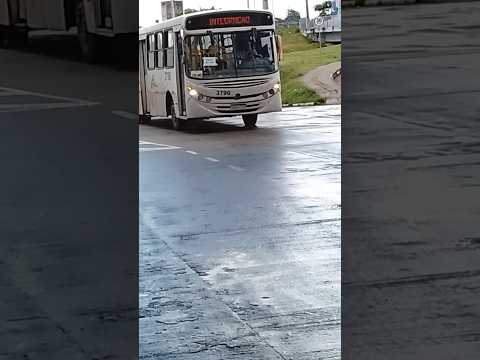 VIP3 DA EXPRESSO VITÓRIA #brasil #onibus #urbano #shorts #saopaulo #emalta