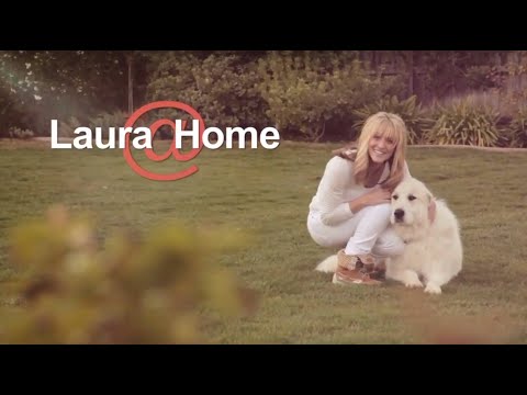 download lagu mp3 mp4 Chow Chow North American Pickled Relish, download lagu Chow Chow North American Pickled Relish gratis, unduh video klip Chow Chow North American Pickled Relish