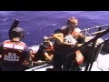 BALSERO - Amaury Gutiérrez