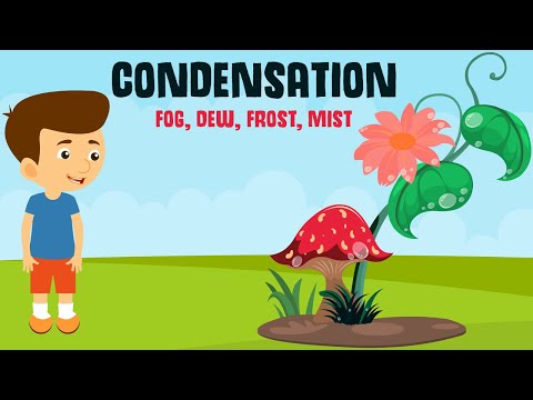 Condensation and it's forms  | Dew, Fog, Frost and Mist | Video for Kids