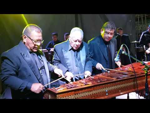MARIMBA ORQUESTA HERMANOS NÚÑEZ - LA COBANERITA EN VIVO