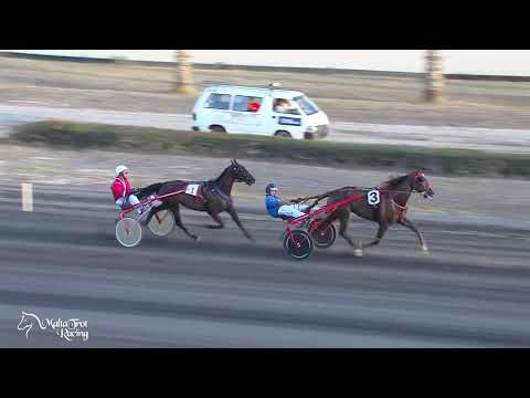 Tigrijiet tad-Dilettanti - 11/08/2023