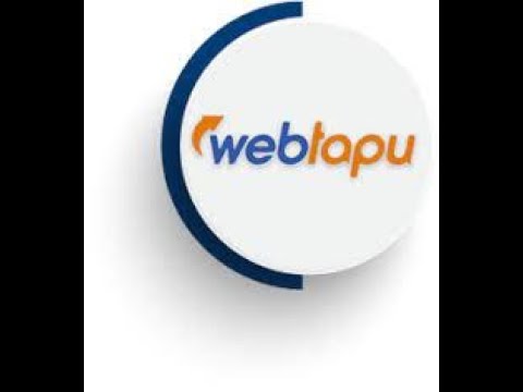WEBTAPU ONAY VE YETKİ İŞLEMLERİ