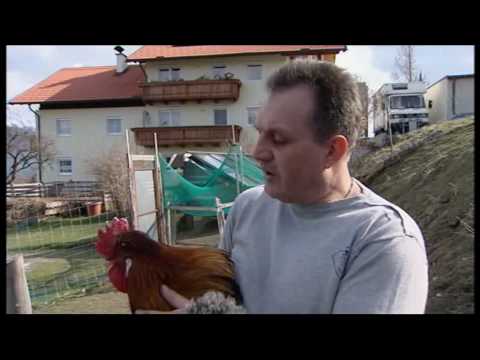 Das Kaiserhuhn - Tirol Heute