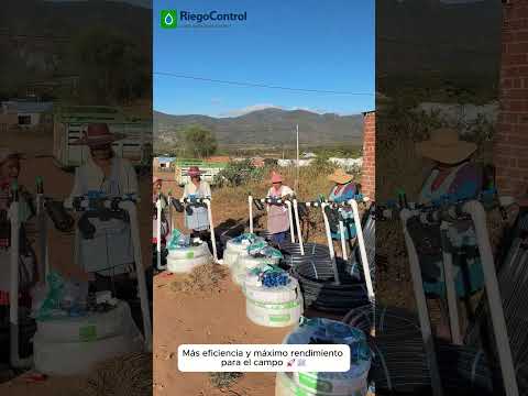 💧 Modernización Agrícola: Entrega de Riego por Goteo en Los Negros, Santa Cruz 🇧🇴
