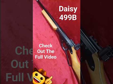 Daisy Avanti 499 - Airgun Review by AirgunWeb